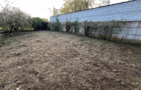 Après - Désherbage de jardin à Lens Liévin Lille Arras Douai - Rémy Multi Services
