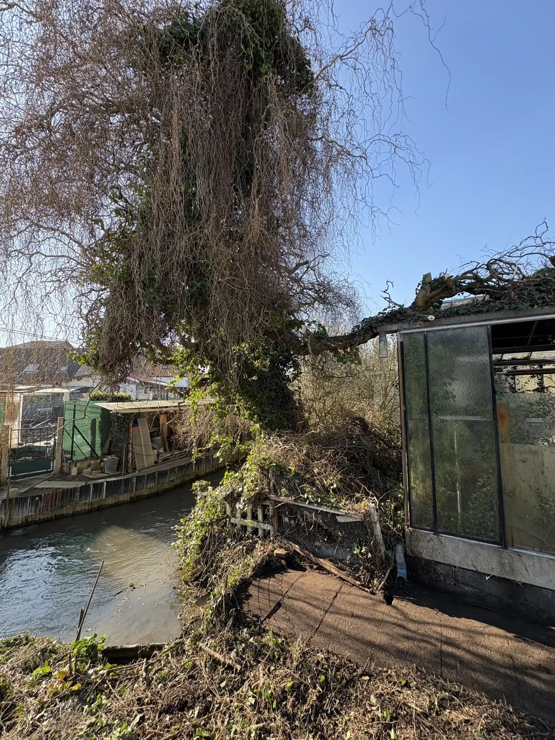 Après - Élagage et entretien de jardin à Lens Liévin Lille Arras Douai - Rémy Multi Services