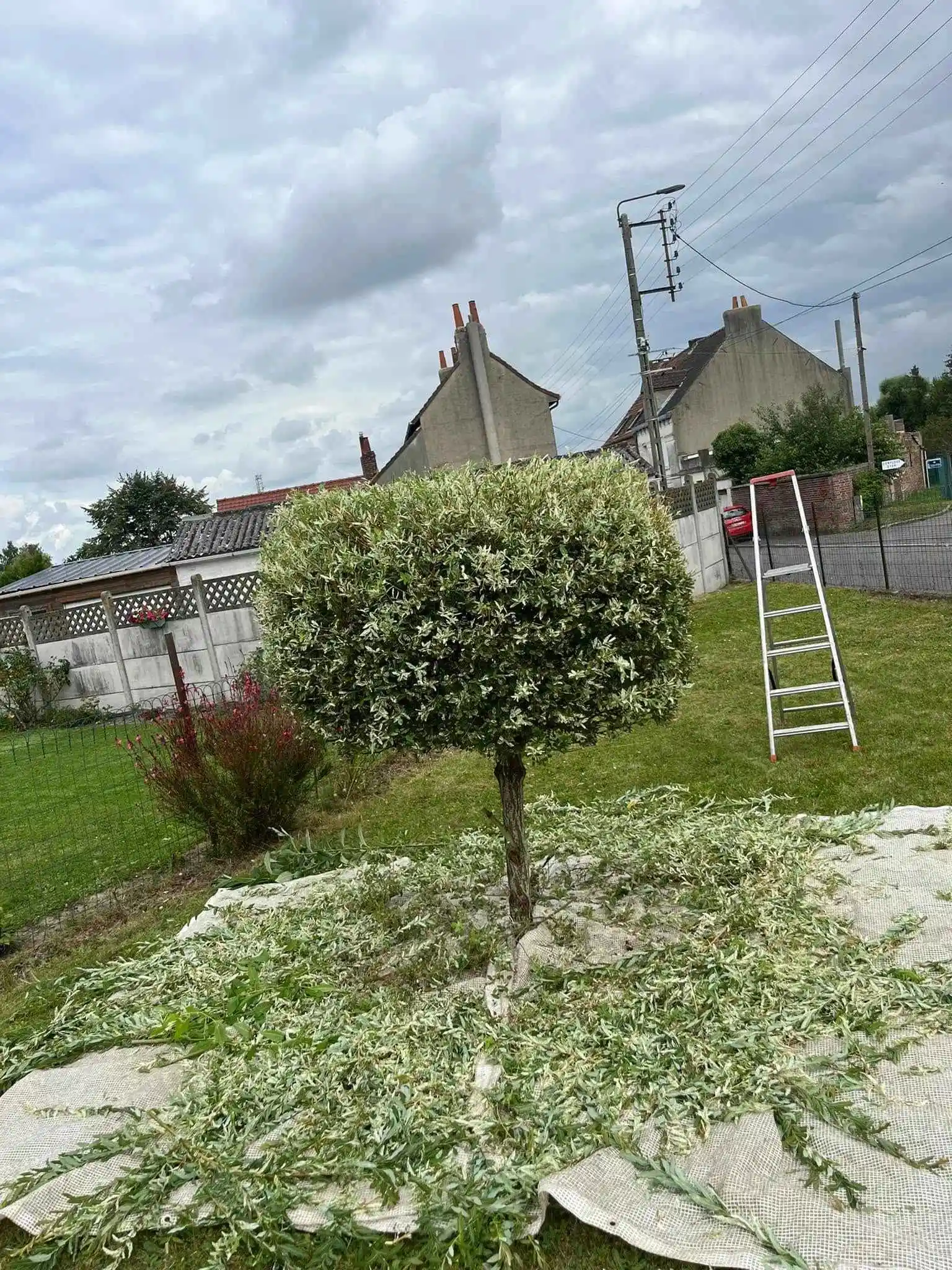 Après - Élagage et entretien de jardin et paysagiste à Lens Liévin Lille Arras Douai - Rémy Multi Services
