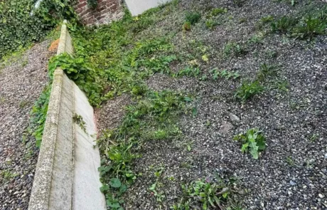 Avant - Désherbage allée et entretien espace vert à Lens Liévin Lille Arras Douai - Rémy Multi Services
