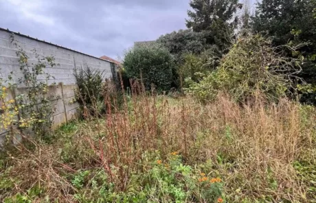 Avant - Désherbage de jardin à Lens Liévin Lille Arras Douai - Rémy Multi Services