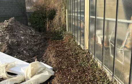 Élagage arbre et débroussaillage de jardin à Lens Liévin Lille Arras Douai - Rémy Multi Services - 1