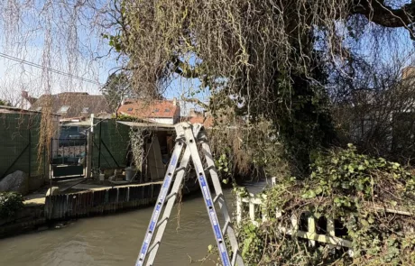 Élagage arbre et débroussaillage de jardin à Lens Liévin Lille Arras Douai - Rémy Multi Services - 2