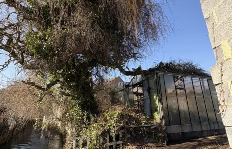 Élagage arbre et débroussaillage de jardin à Lens Liévin Lille Arras Douai - Rémy Multi Services - 3