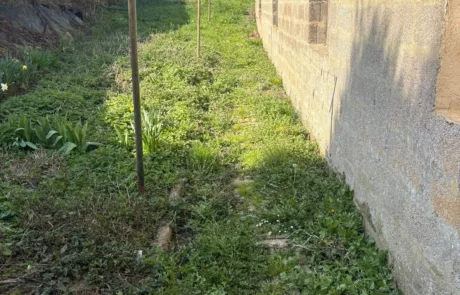 Avant - Débroussaillage de jardin à Lens Liévin Lille Arras Douai - Rémy Multi Services